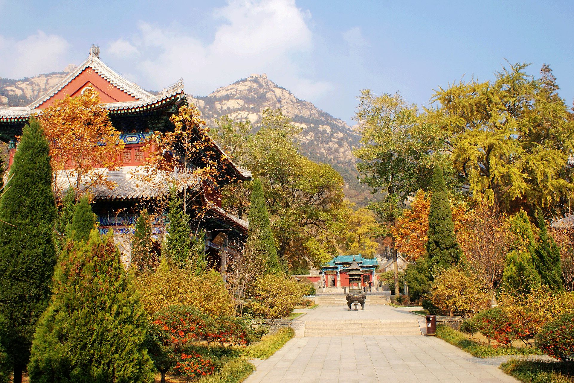 崂山太清宫:有很多千年以上的植物,更是有2100多岁的银杏树
