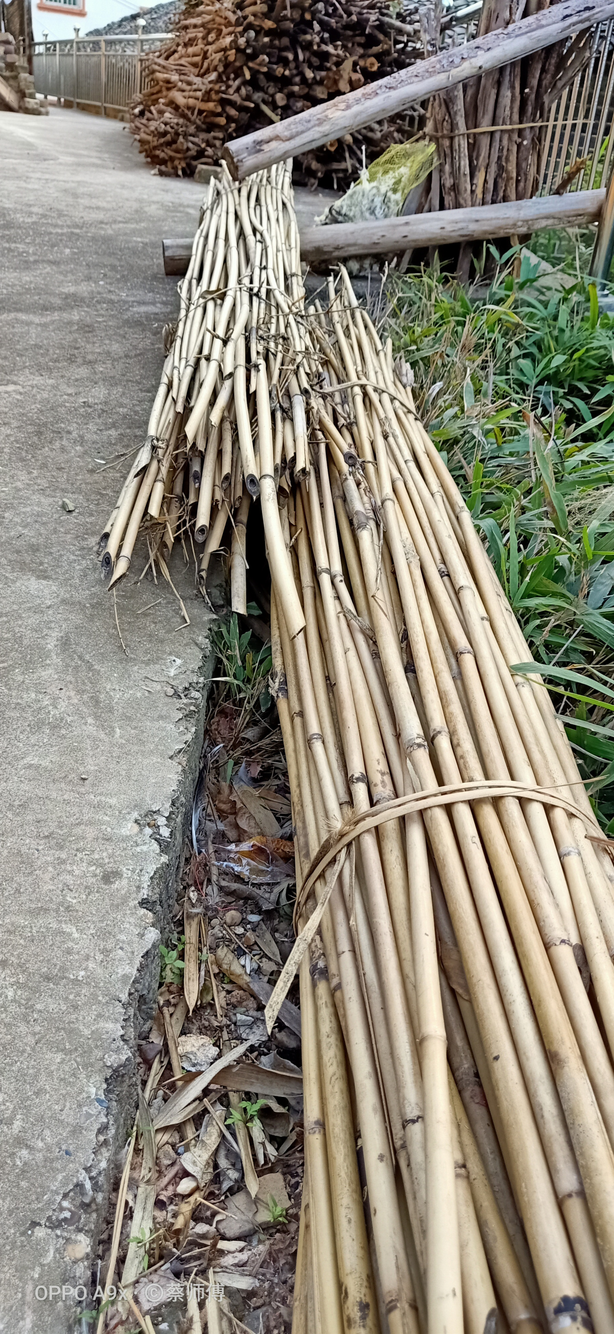 竹竿- 热门商品专区