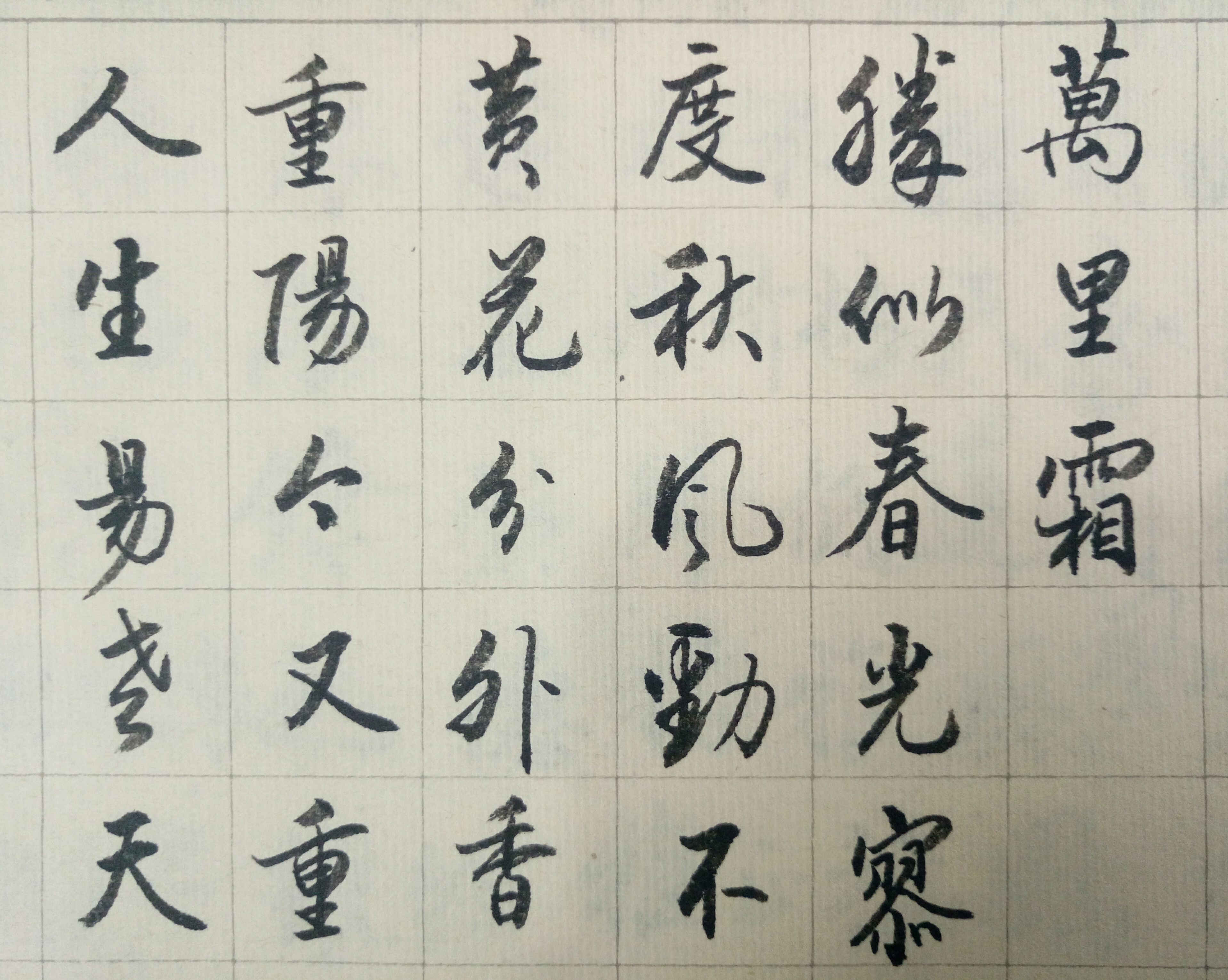 練字隨拍――《採桑子·重陽》