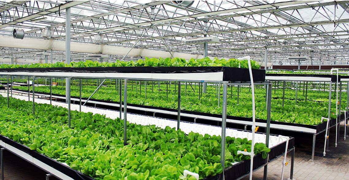 智能温室大棚中盈玖州