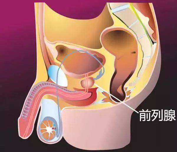 若不想前列腺受损