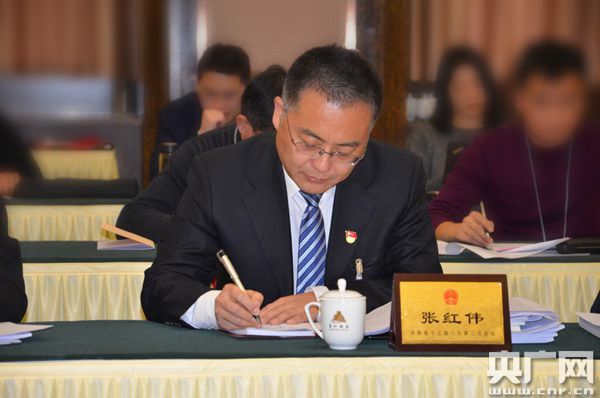 河南省人大代表张红伟:建议省里把郑州行政扩区等摆上日程