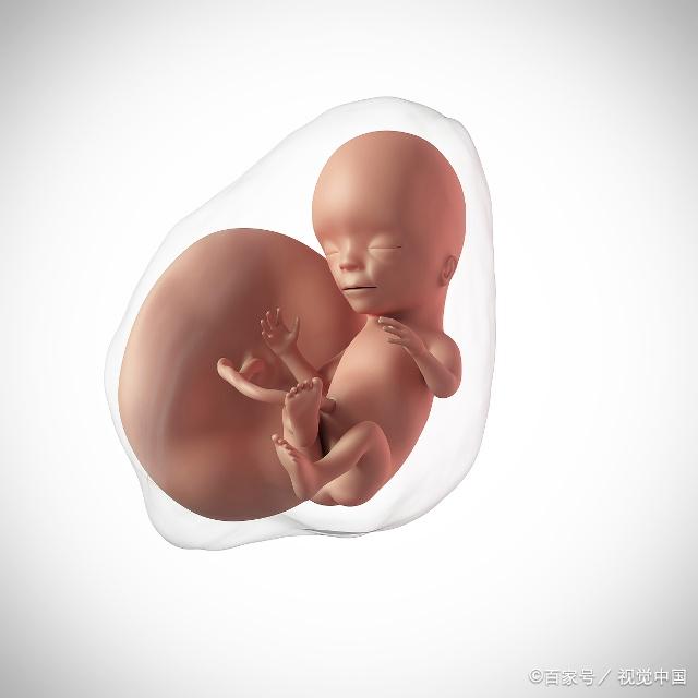 怀孕后,孕妈这个孕周可能会使胎儿出现缺氧,孕妈不要大意了