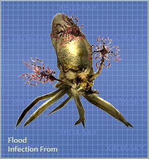 《光环(halo)》中古人类,先行者,先驱及虫族洪魔的历史