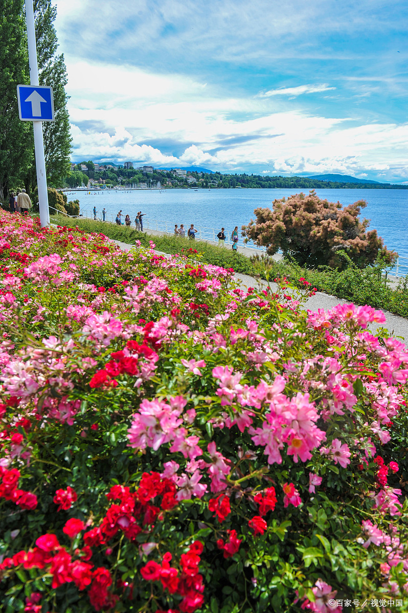 《法国·伊瓦尔》日内瓦湖畔的鲜花小镇