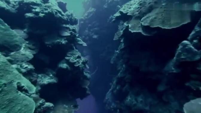 tod harrison williams 视频在线观看 爱奇艺搜索