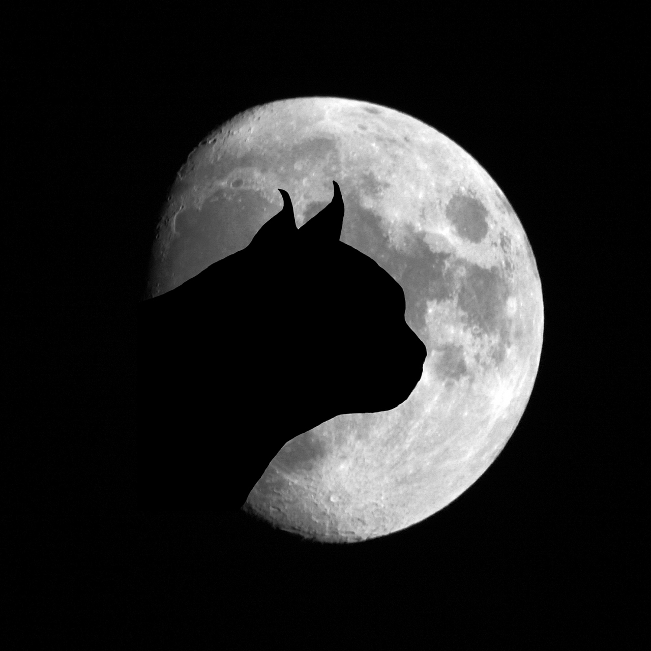 天狗食月是一个古老的传说,广泛流传于中国,日本,朝鲜等东亚地区.