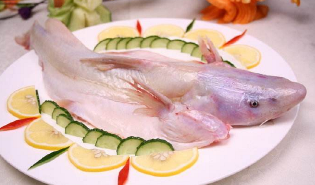 肉质鲜美的鮰鱼家常做法,营养美味又健康,比饭店做的还好吃