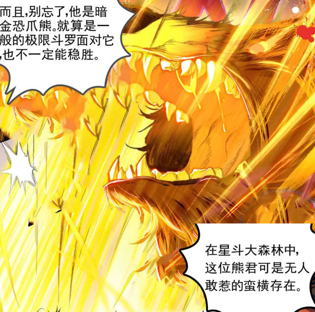 斗罗之熊军家族