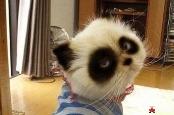 以为有黑眼圈就是睡眠不足?很多人都错了