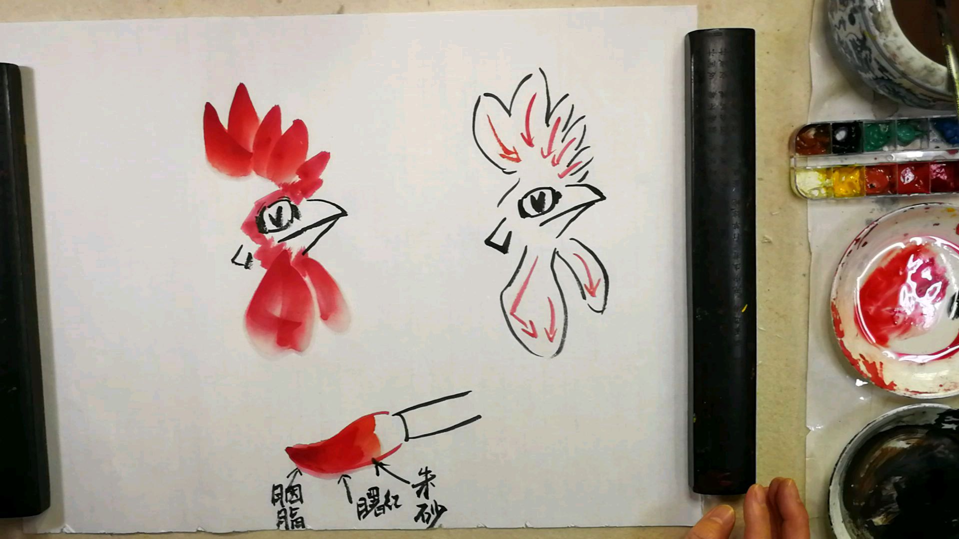 花鸟集:第三章大公鸡的画法。第二节2公鸡的鸡冠画法