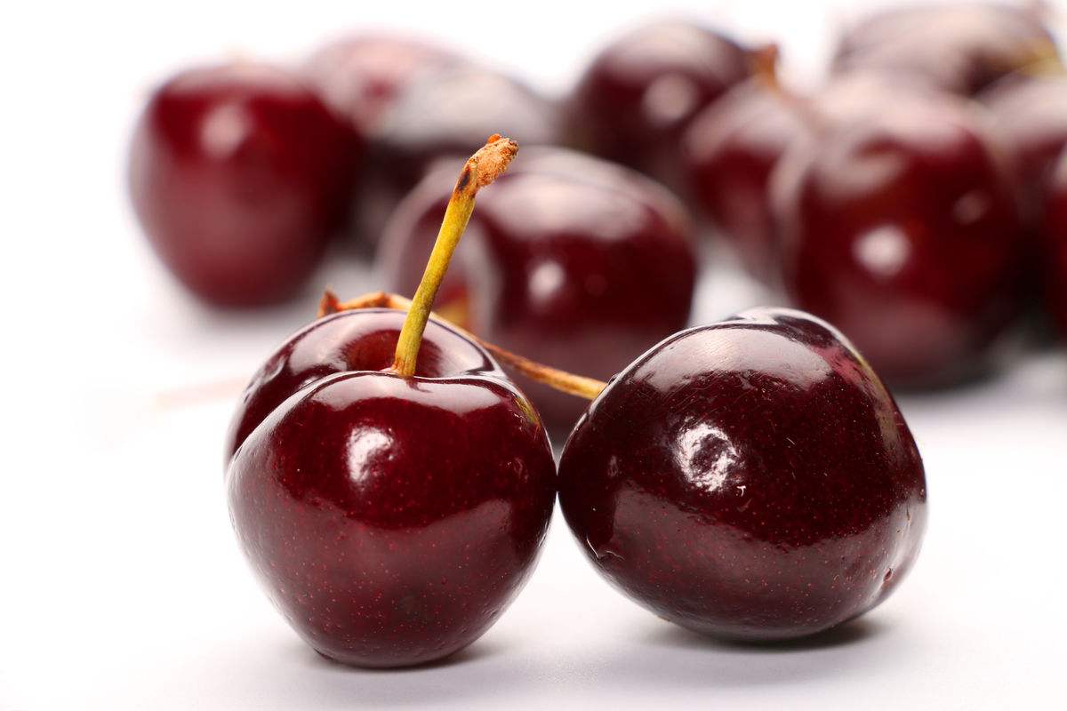 车厘子批发 - 2020年最新商品信息聚合专区 - 百度爱采购