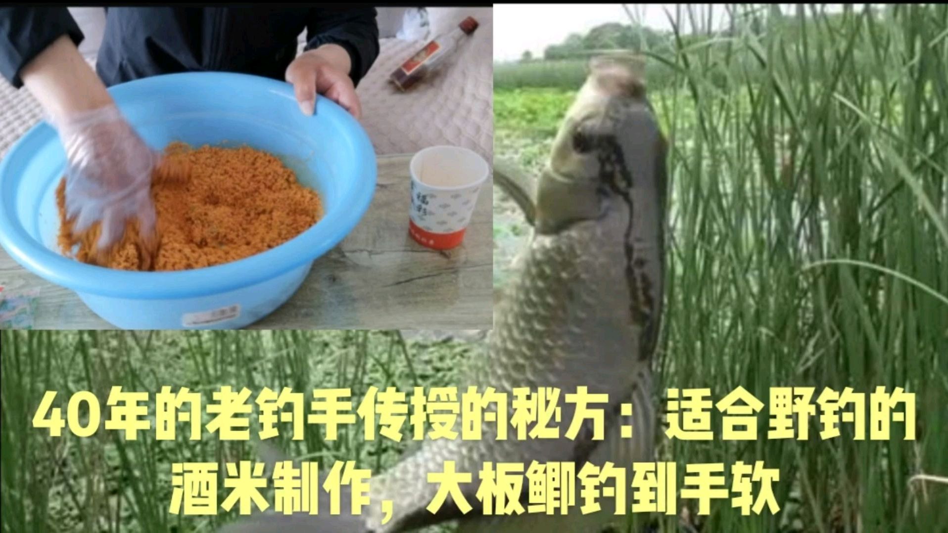 钓鱼人打死都不愿意说的窝料配制的秘方,适合野钓大板鲫钓到手软