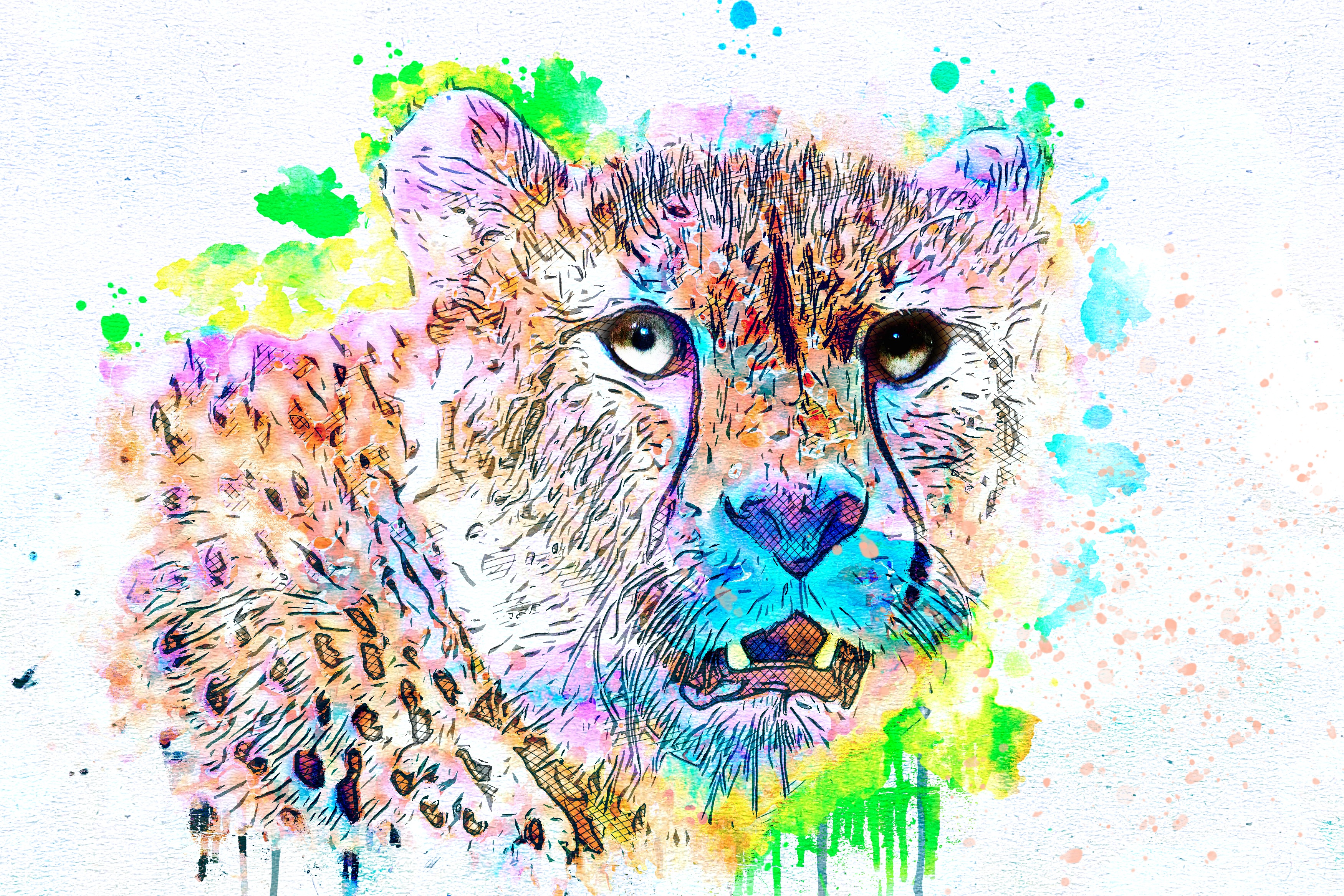 抽象艺术老虎狮子豹子高清壁纸