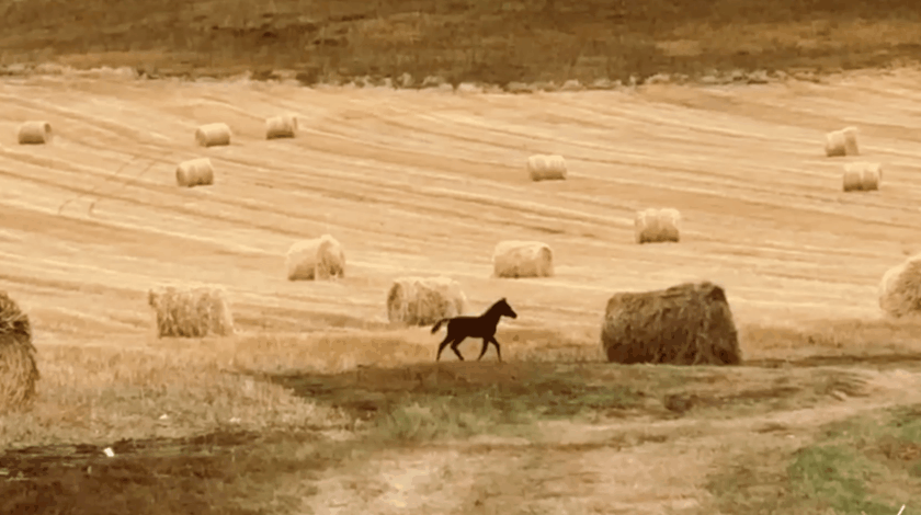 840_470gif 动态图 动图