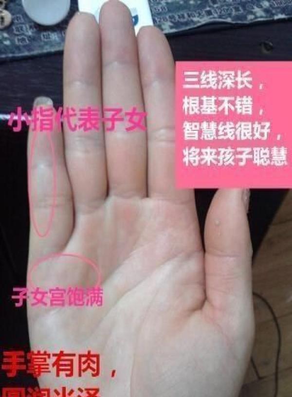 手相看你一生有几个子女,都是命中注定