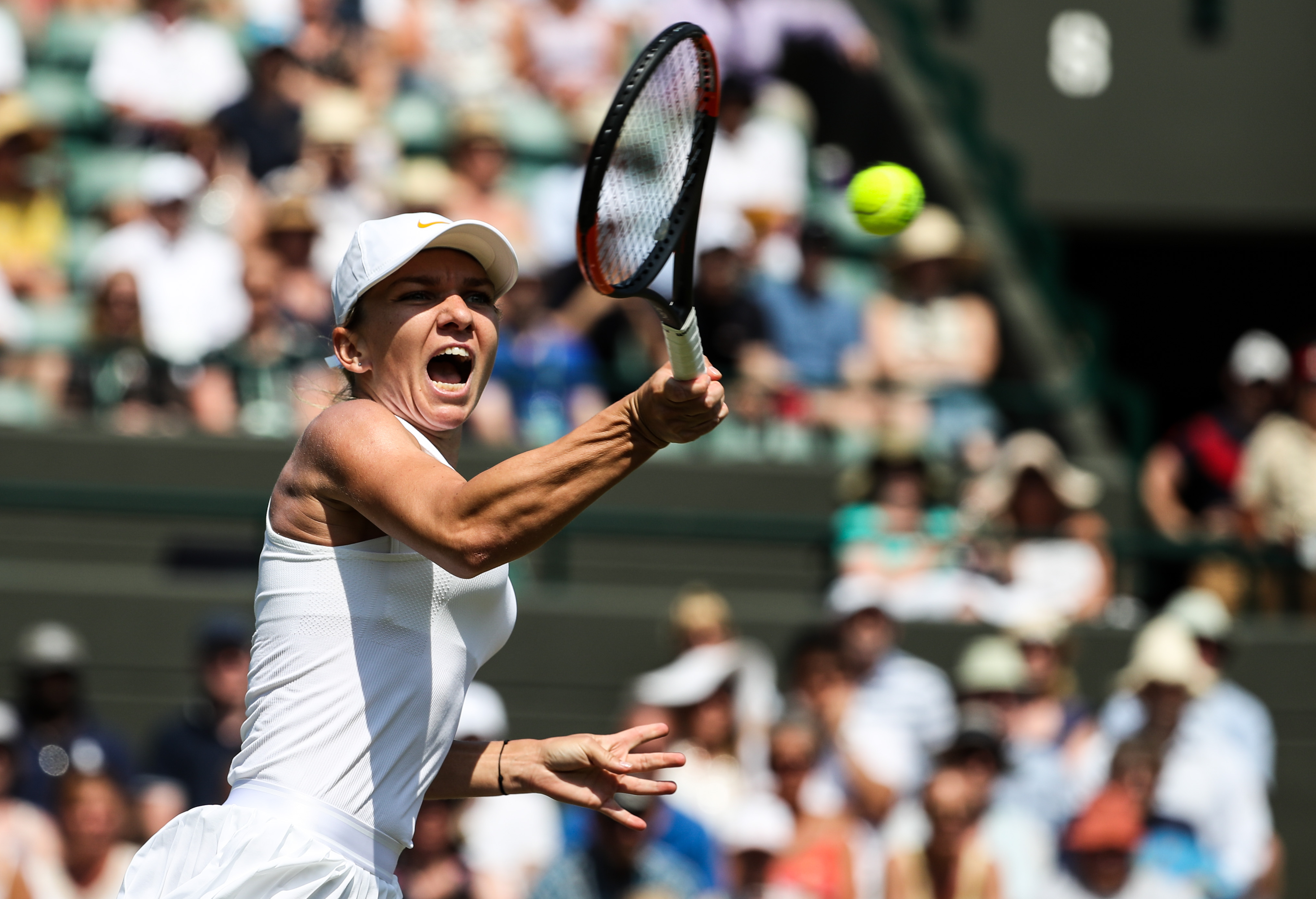 网球——温网:谢淑薇淘汰哈勒普(5)