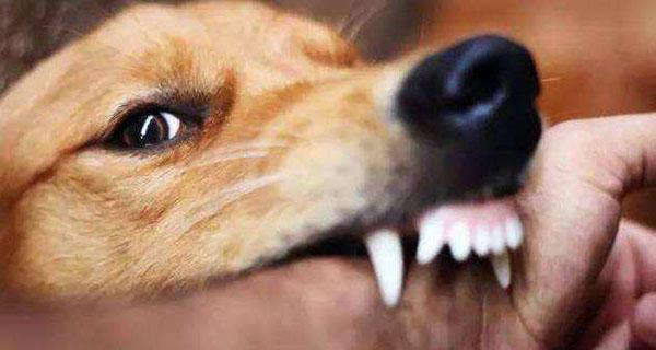 有人长期怀疑自己有狂犬病症状,一定不是狂犬病.