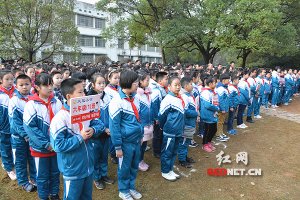 衡阳南华小学图片