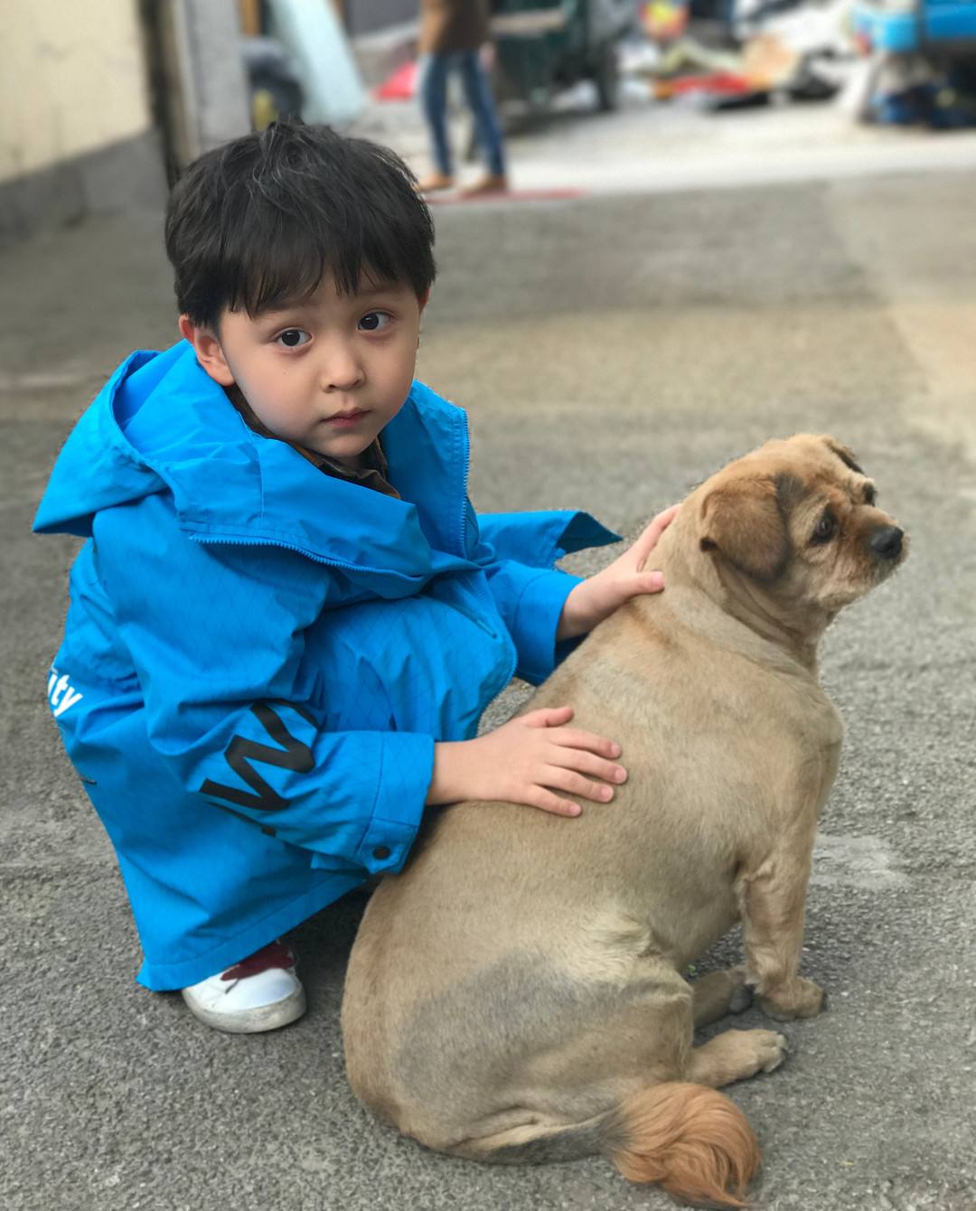 【娱乐圈这5个小朋友,才是承受着他们这个年纪不该