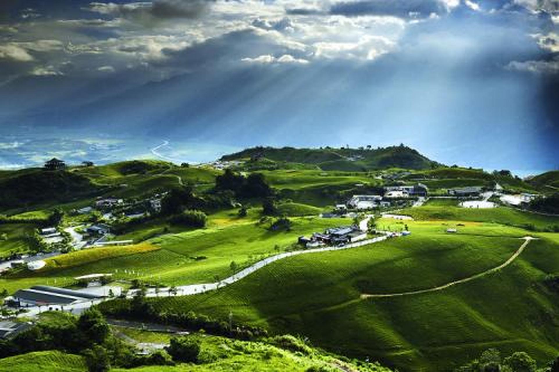 三亞之旅不太囧#【旅行】石山壅羊:02石山羊肉火鍋的佐料十分講究