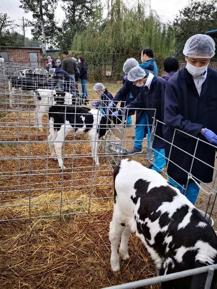 这些"名校"之所以成为"名校",是因为