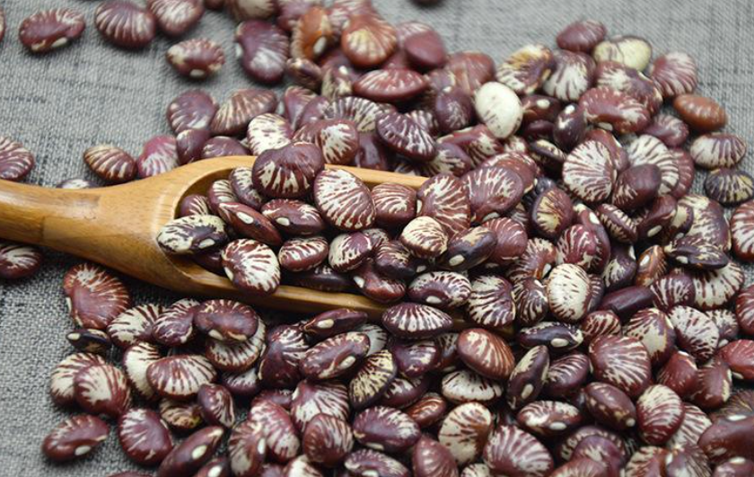 荷包豆是一种有很好的祛湿作用的豆类,同时荷包豆还