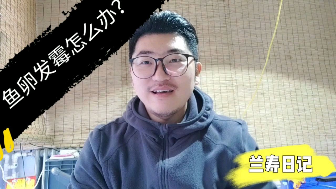 鱼卵孵化过程中发霉了怎么办?