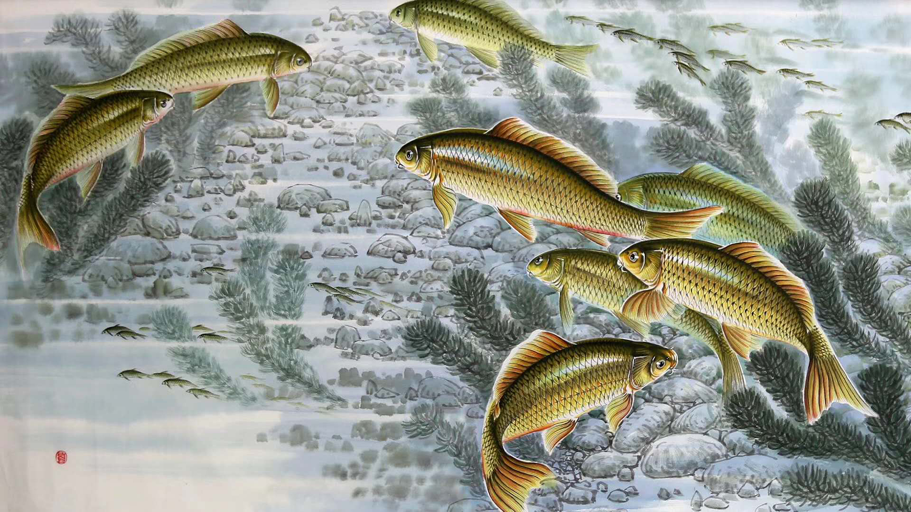 工笔重彩画,鱼戏莲叶间