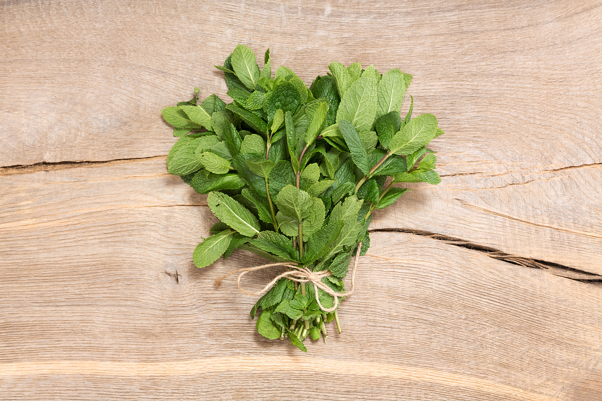 摘要:鱼香菜和薄荷作为香草调味料,具有鲜明的特点和历史背景.