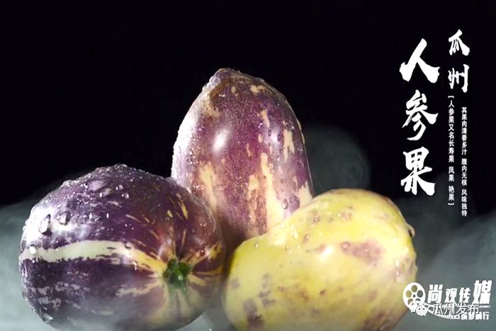 瓜州特产大盘点!