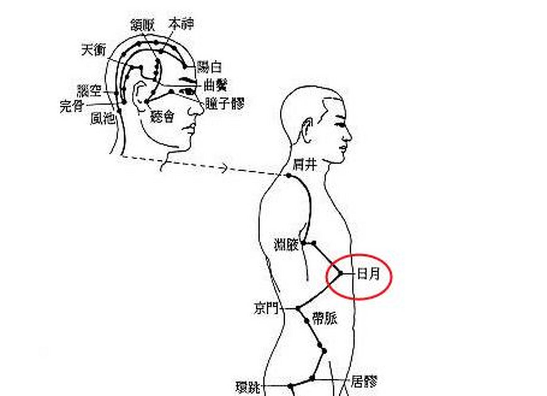 科普知识竞赛#日月穴是足少阳胆经的常用腧穴之一,出自于《脉经》