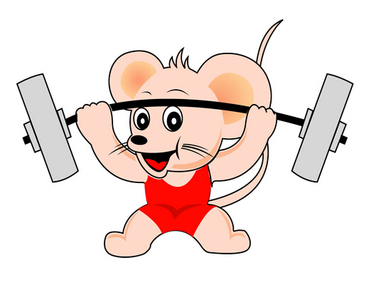 属鼠人2019年2月份财运空虚,需理性消费!