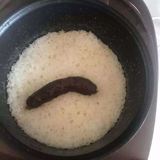 铲屎官最无法直视的画面,简直没法看!猫咪:说好铲一辈子屎呢?