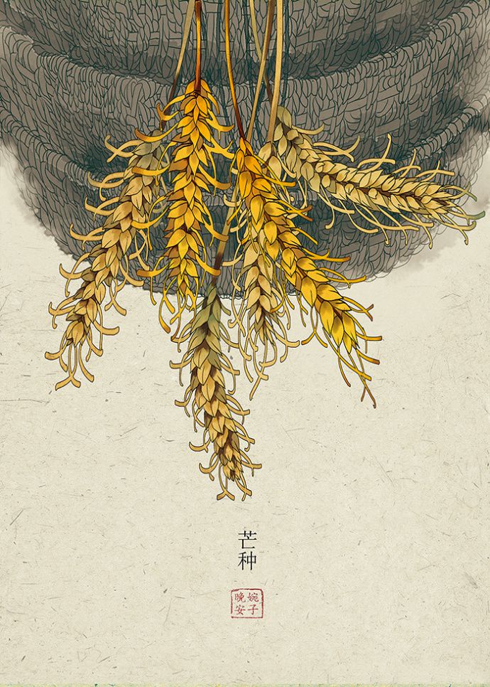 古风手绘版24节气——芒种