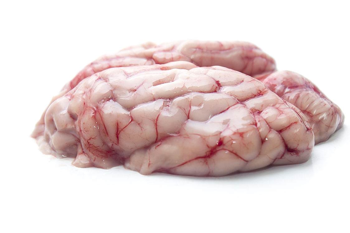 羊胎盘可以炖汤,烧烤或煎炒,拌凉菜等多种方式食用