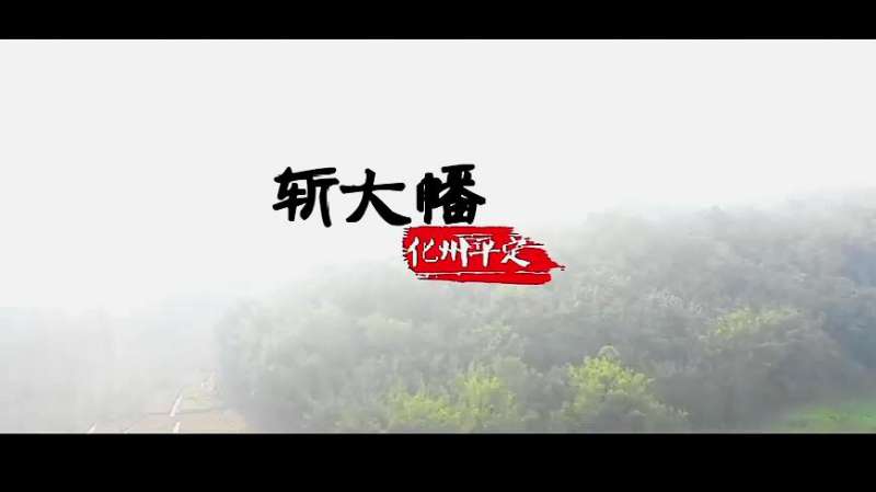 粤西两广文化—化州市平定镇打大幡民间习俗传统,文化历史,民俗,好看视频
