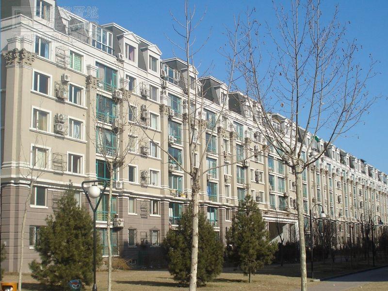 板楼与塔楼的区别是什么,哪个更适宜居住?