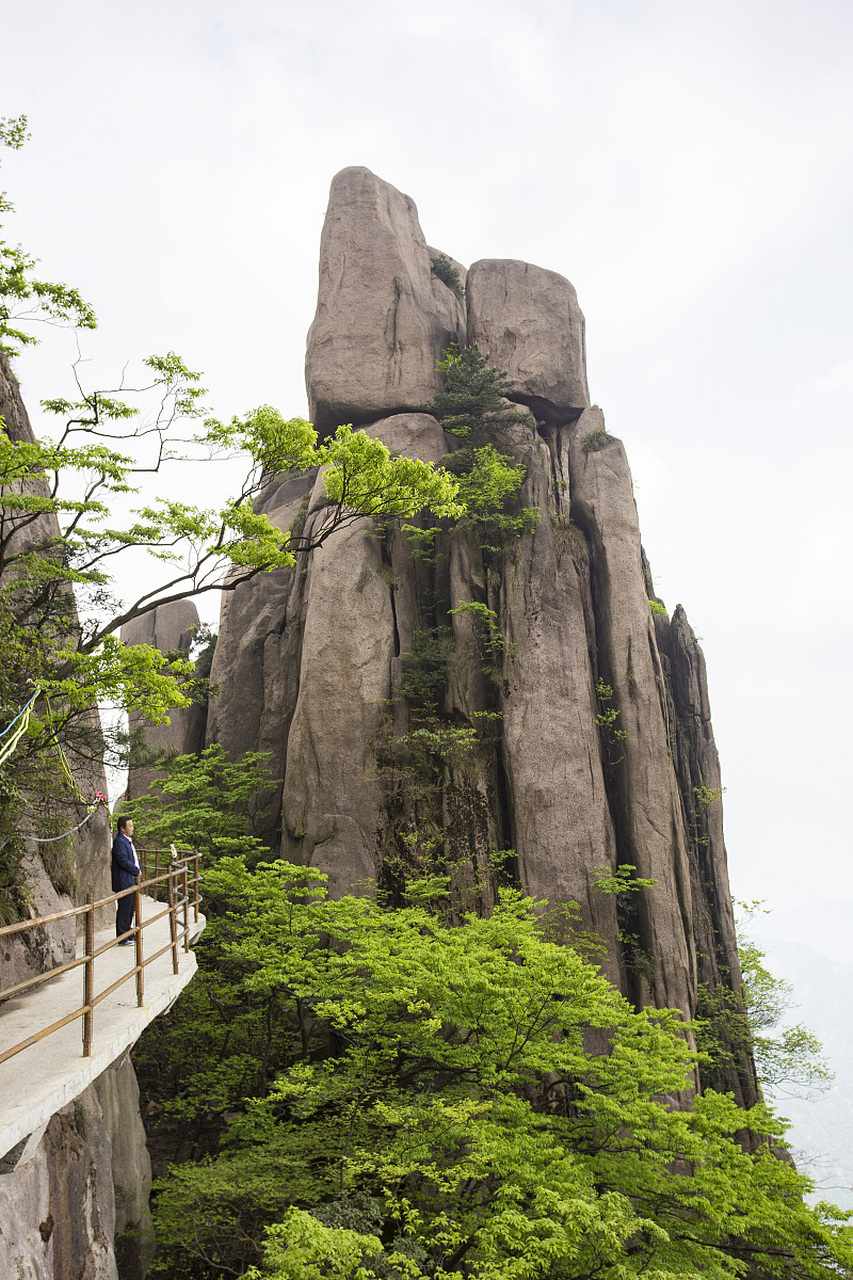 莽山·五指峰景区 莽山五指峰景区是宜章的标志性景点之一,以其形伟