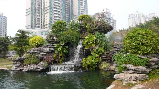 假山上栽种什么植物?