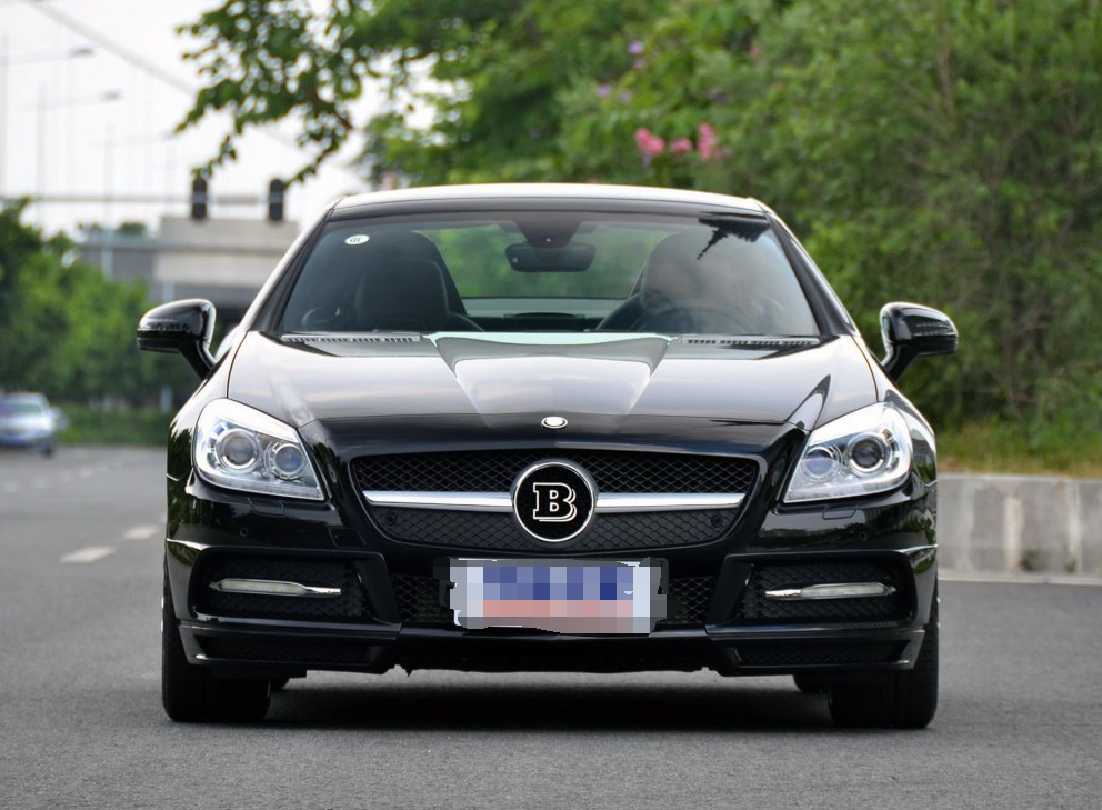 十分彰显个性的巴博斯 slk级外貌协会的可以了解一下