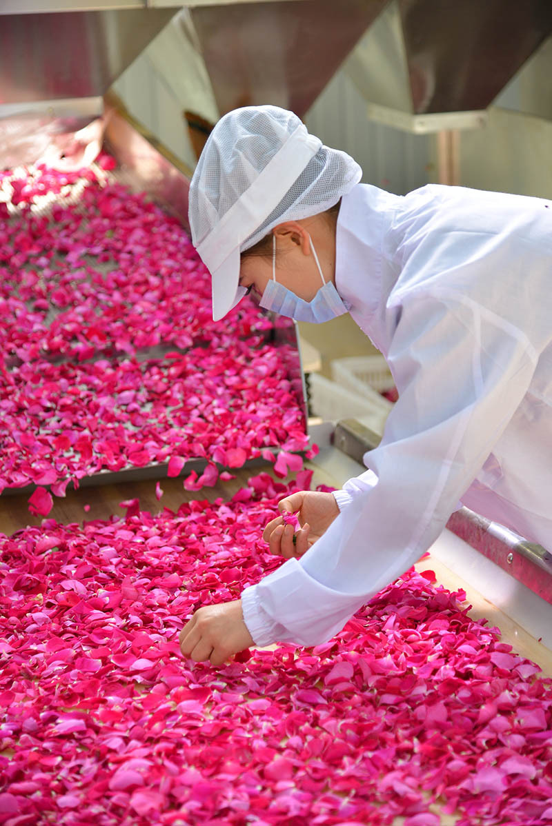 小姐姐,吃了这个鲜花饼你会觉得那些用干花和花酱做的都是耍流氓
