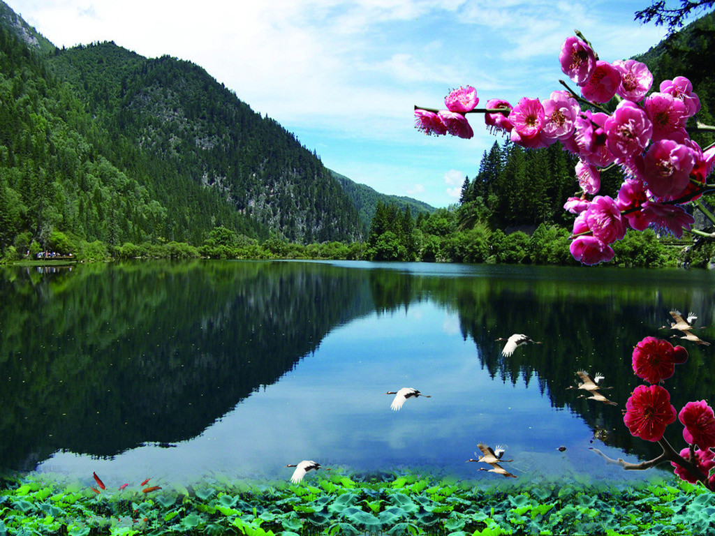 室内明白这4个摆放技巧,招财进宝,难怪有钱人都这样做