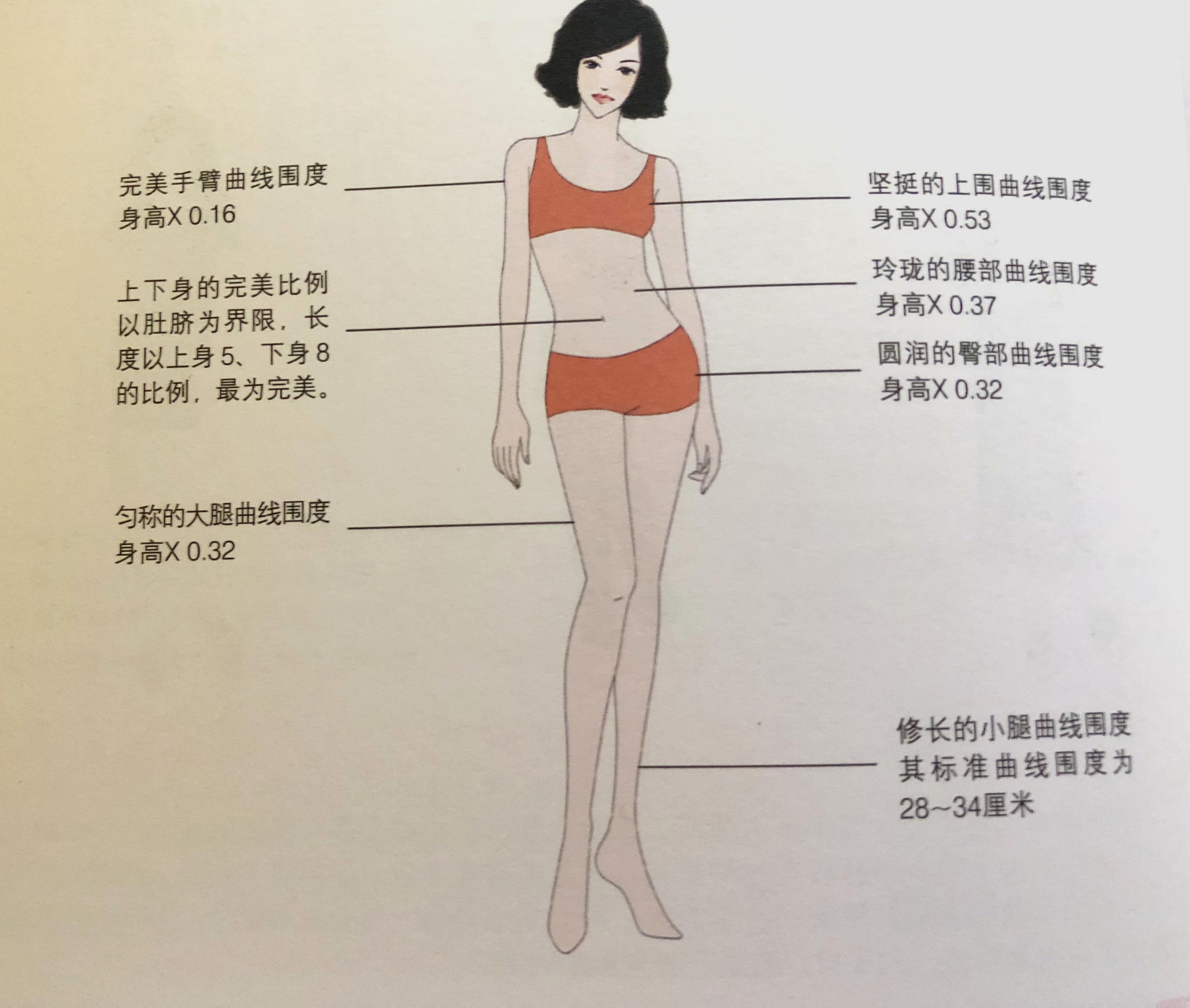什么是完美魔鬼身材标准比例?如何穿搭改变身材比例?不懂的来