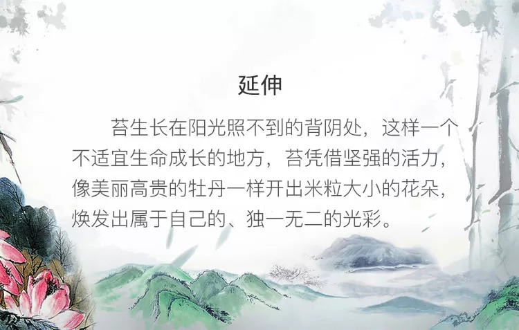 小学生必背古诗讲解—《苔》