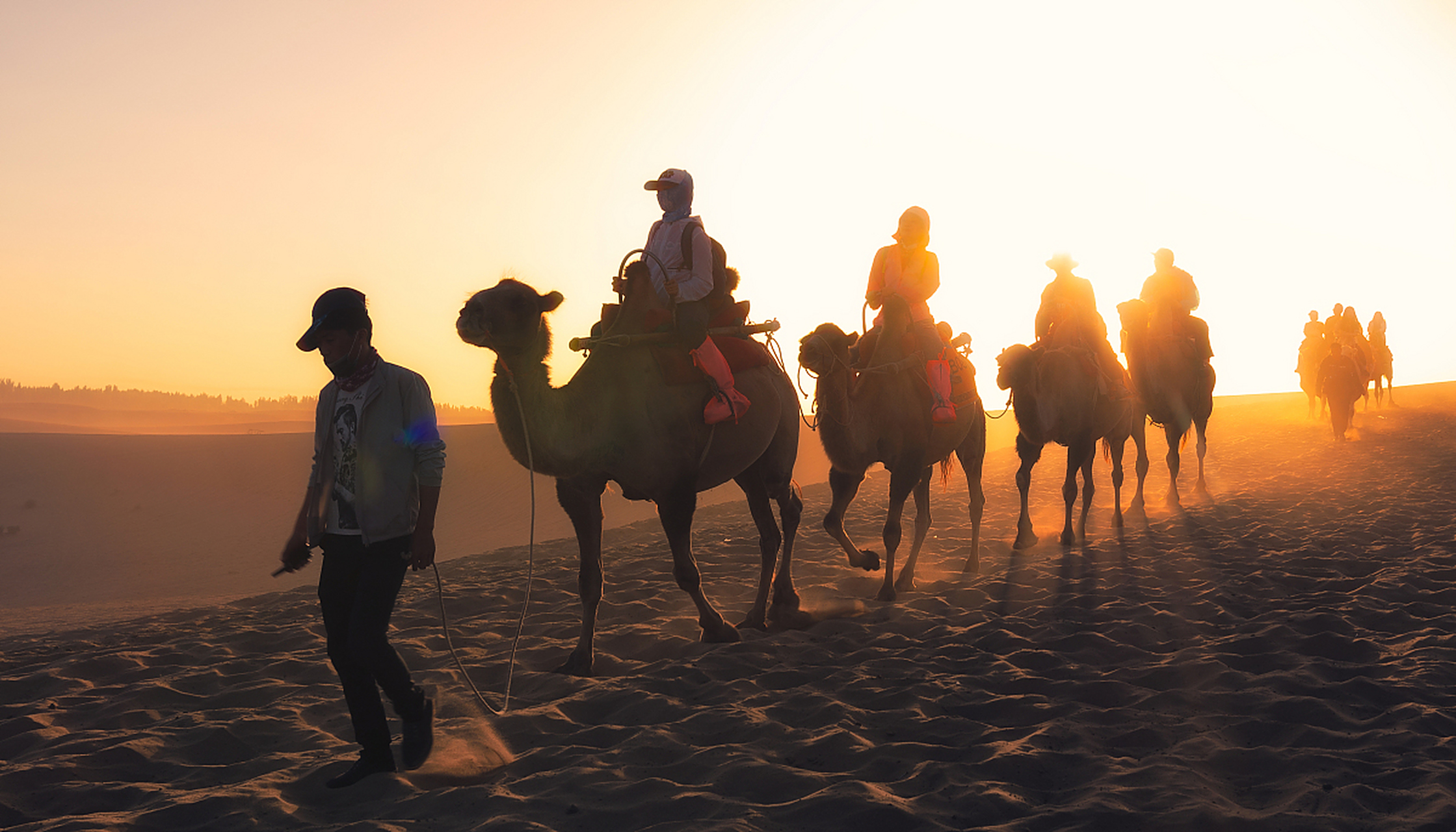 鸣沙山月牙泉千余骆驼集体"罢工"? 近日,网传甘肃敦煌鸣沙山月牙泉景