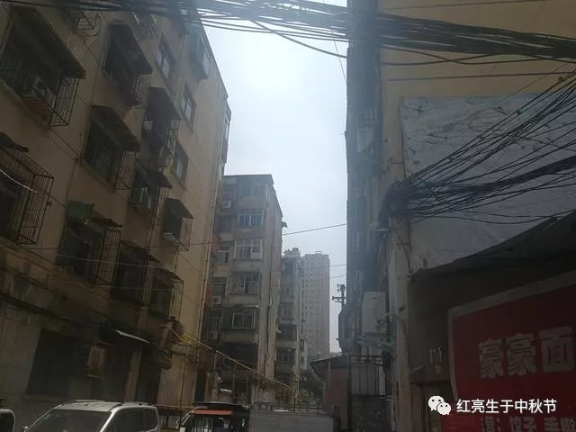 洛阳东下池:柳暗花明又一村