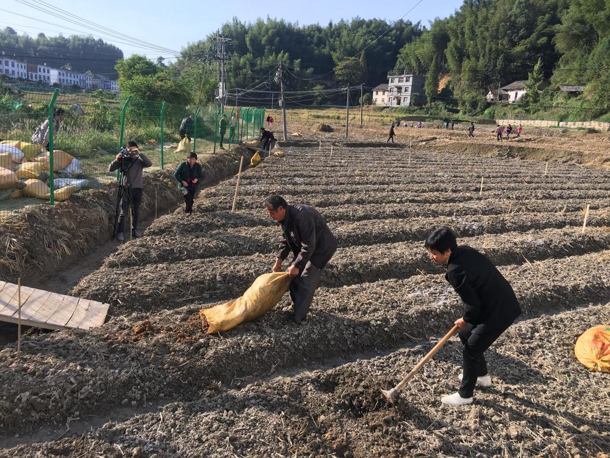 万载县茭湖乡易地搬迁贫困户搬得出,住得进,收入稳定