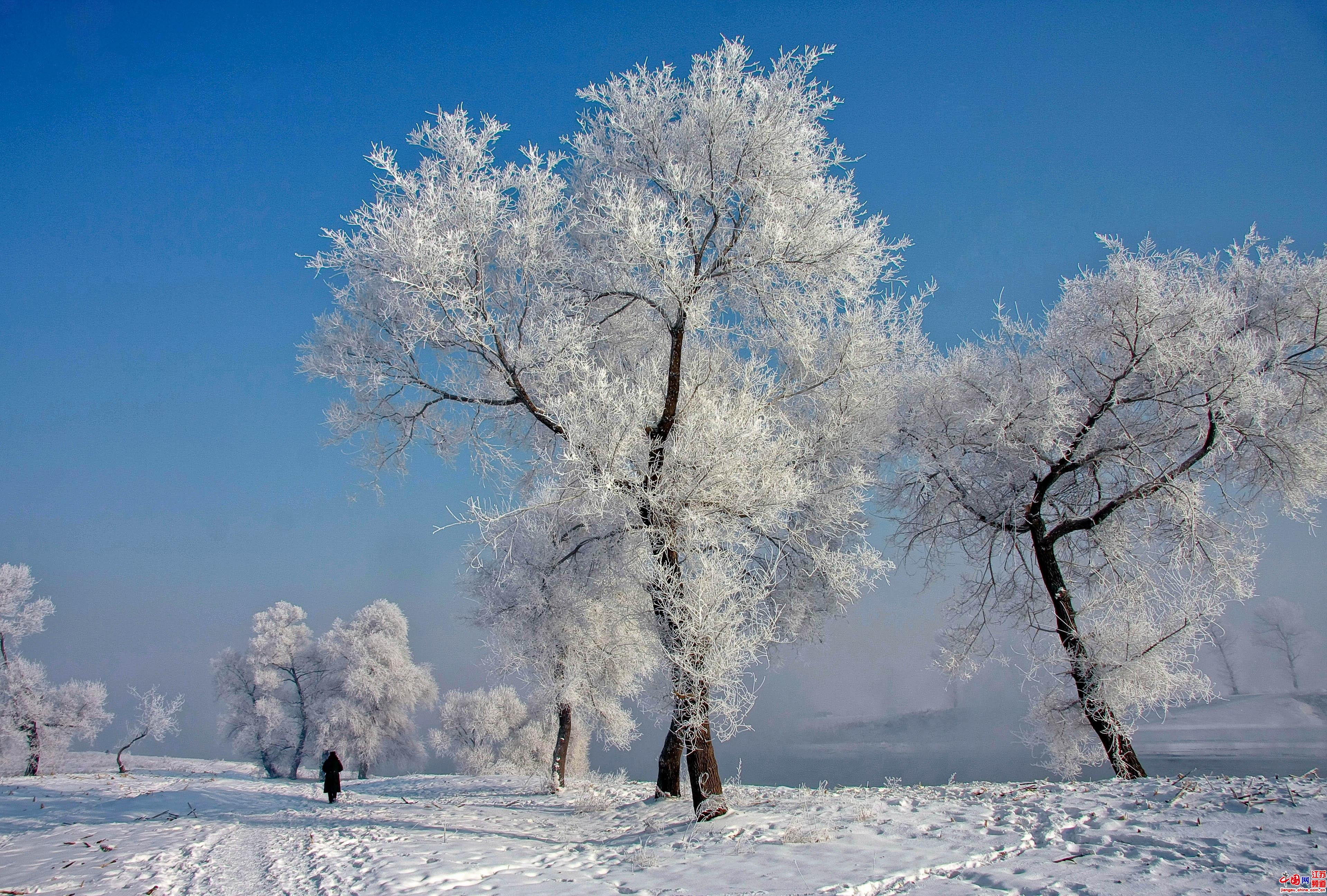 吉林市的雾凇远近闻名,冬季旅游好去处,雾凇岛冰雪节不容错过