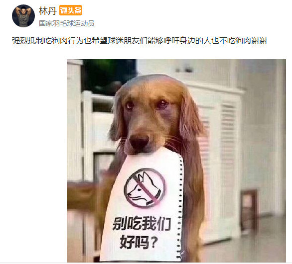 林丹强烈呼吁抵制吃狗肉引争议!网友:你能啥荤都不吃吗